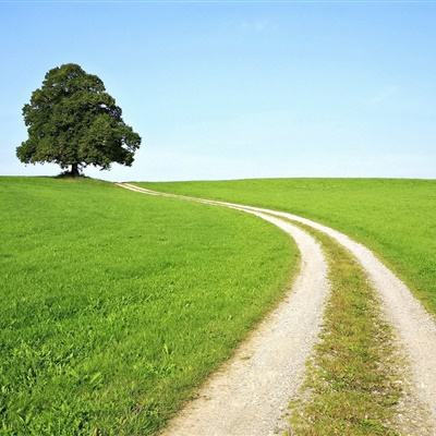 天下彩网站下载手机版