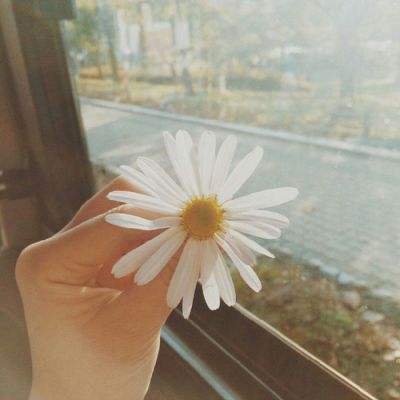 威尼斯wns·8885556